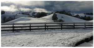 NZ snow 2