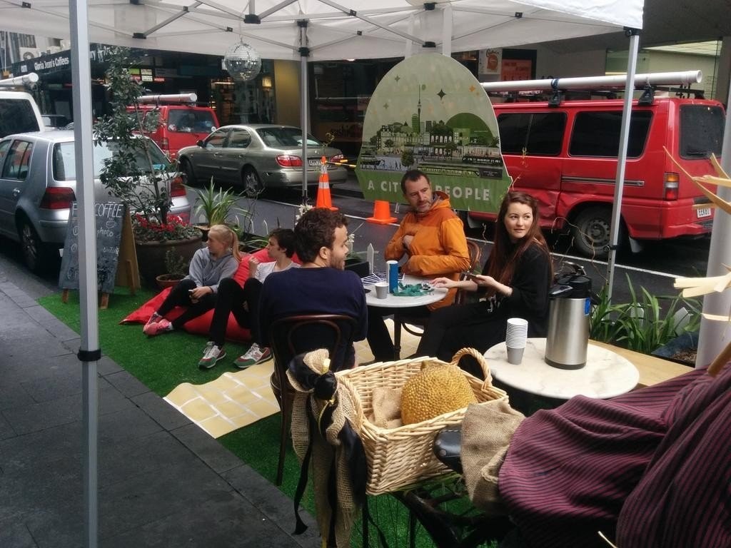 парковки Новой Зеландии на день стали парками