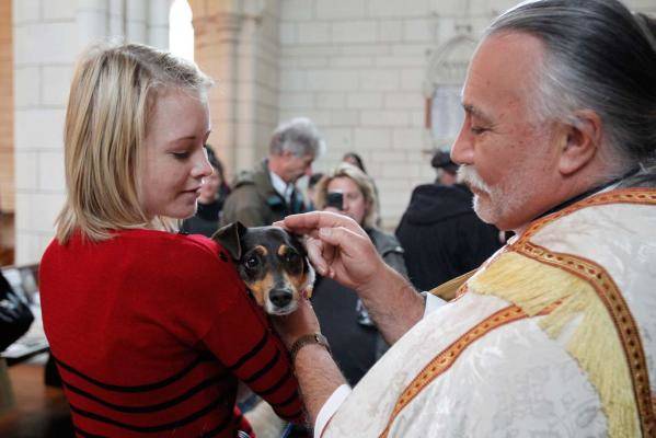 День защиты животных в церкви Святого Матфея 