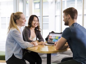 учеба в новой зеландии