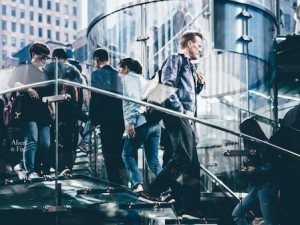 резидентская виза в новую зеландию