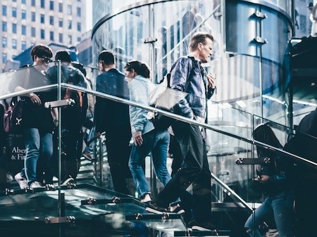 резидентская виза в новую зеландию