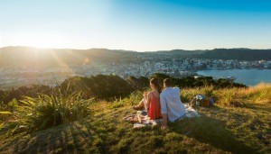 партнерская виза