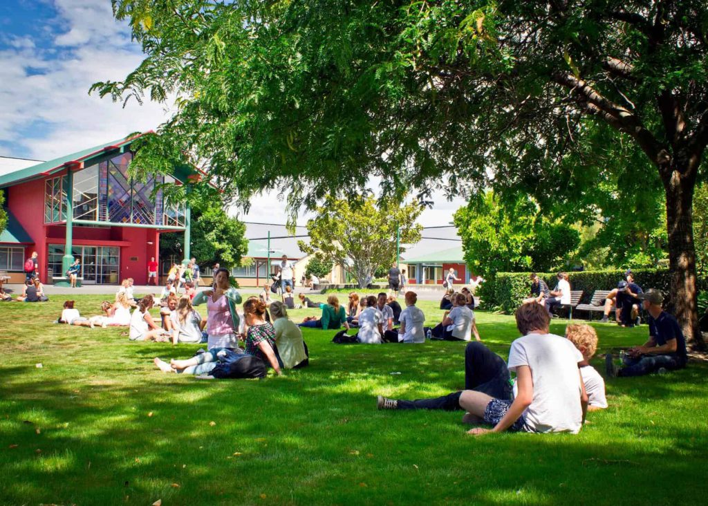 институты Новой Зеландии