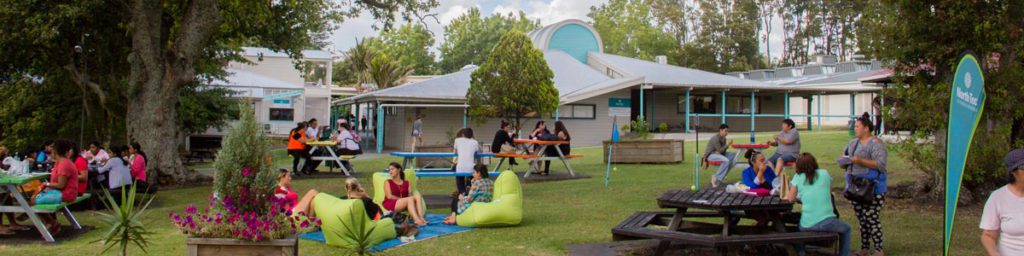 институты новой зеландии 2 категории