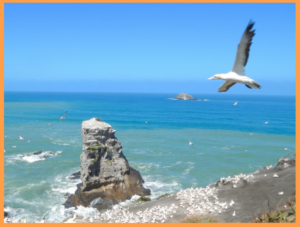 Специальная гостевая виза COVID19