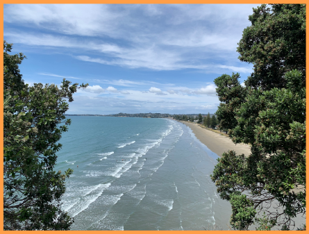 поправки к гостевым визам