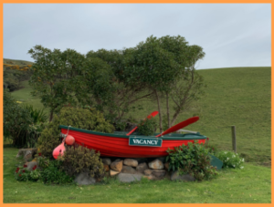 новозеландская иммиграция закрывает офисы