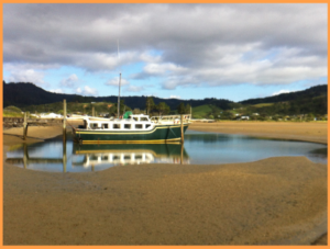 готовимся к иммиграции