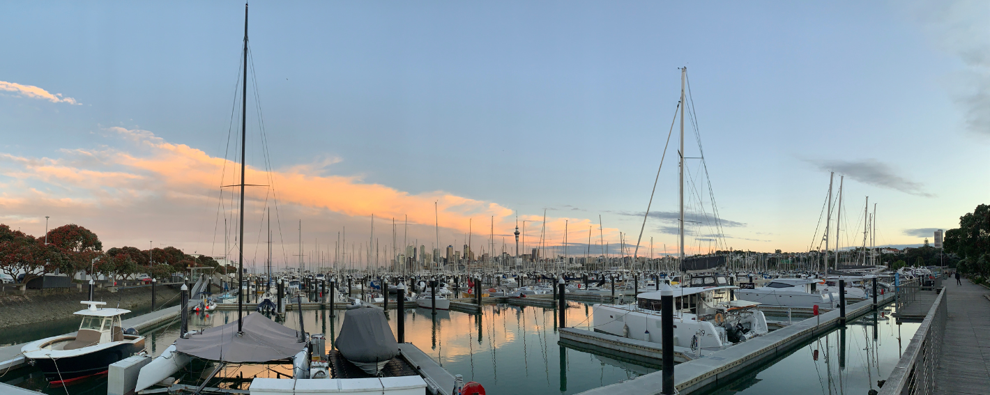 Оценить свои шансы на иммиграцию в NZ