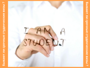 заявления на студенческую визу